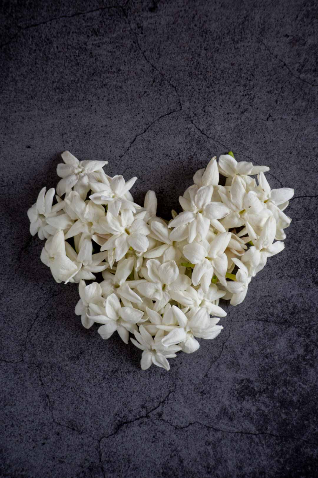 jasmine flowers arranged in a heart shape