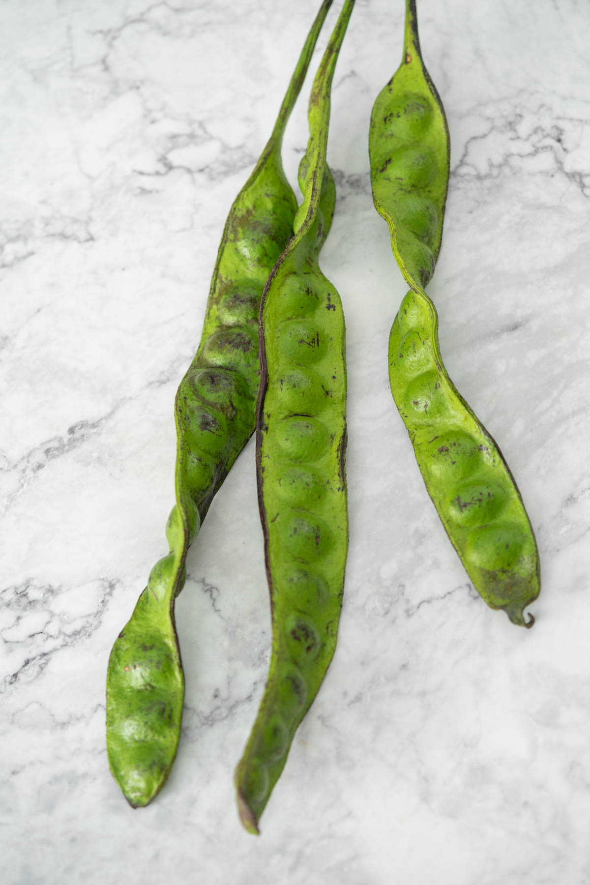 three fresh stink bean pods on a marble surface